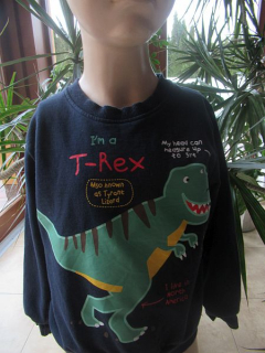 Chlapecká mikina vel. 116 - UK