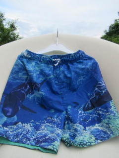 Chlapecké kraťasy / Koupací šortky vel. 140 - George